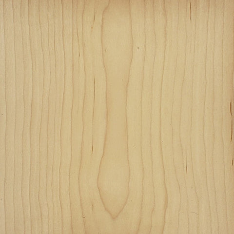 "PICK YOUR PACK OF 18" FOR 1/16TH MICROPLY