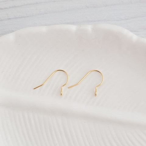Gold Sleek Forward-Facing Stainless Steel Ear Wires, 20 Pieces, Earring Hook #1