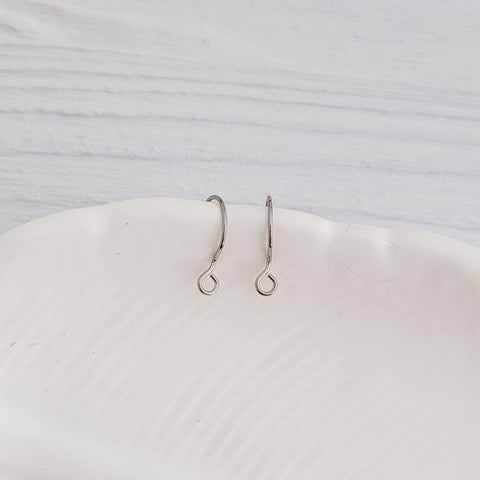 Silver Modern Forward-Facing Stainless Steel Ear Wires, 20 Pieces, Earring Hook #2