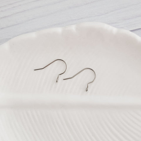 Silver Modern Forward-Facing Stainless Steel Ear Wires, 20 Pieces, Earring Hook #2