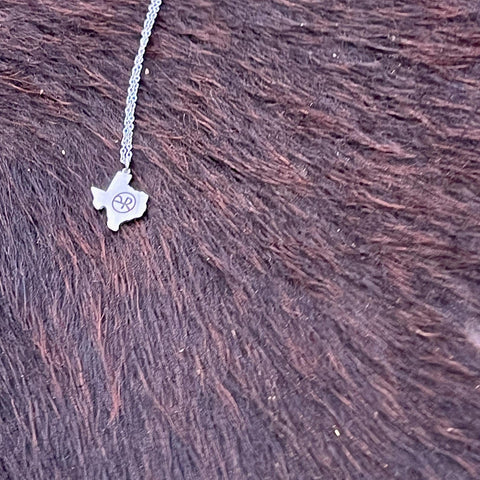 Texas Pendant Necklace (Silver or Gold), 1 Total, Metal Blank #110
